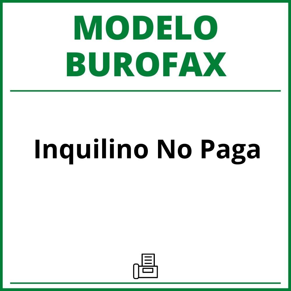 Modelo Burofax Inquilino No Paga