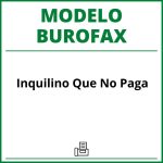 Modelo Burofax Inquilino Que No Paga