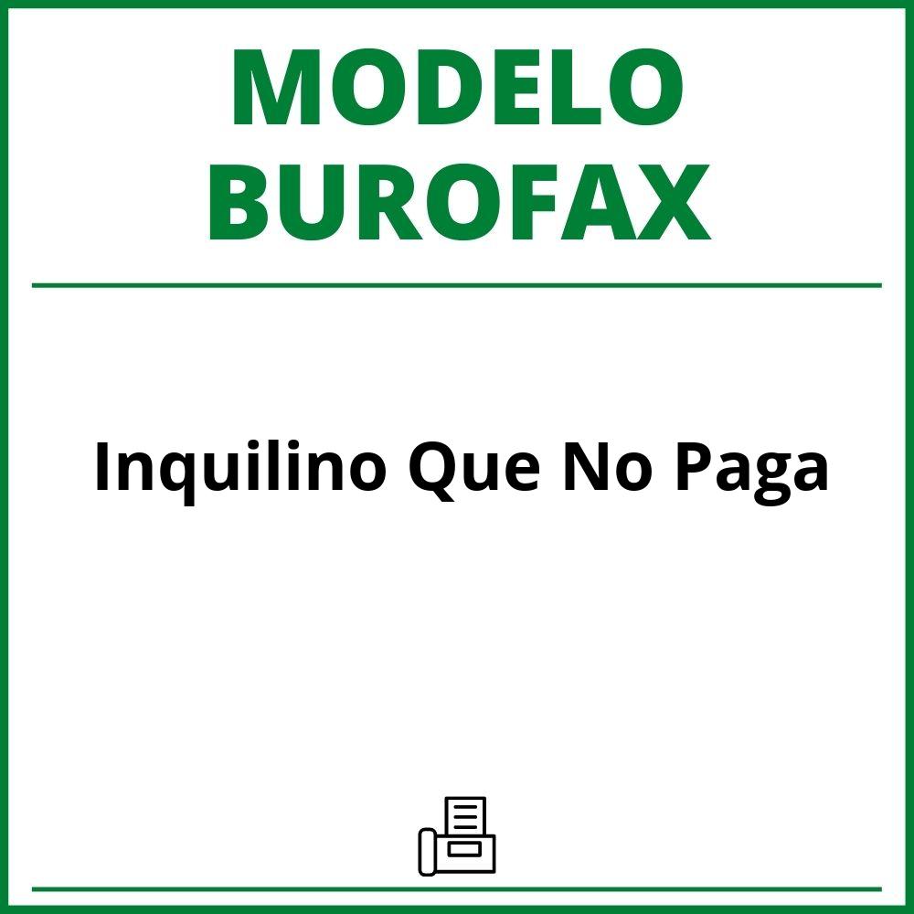 Modelo Burofax Inquilino Que No Paga